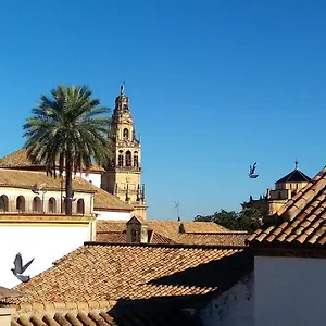 Apartamento La Mirada De La Judería, Córdoba